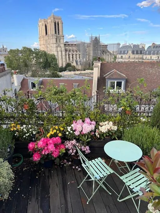 Apartment Rooftop Triplex With Garden At Notre Dame Paris France