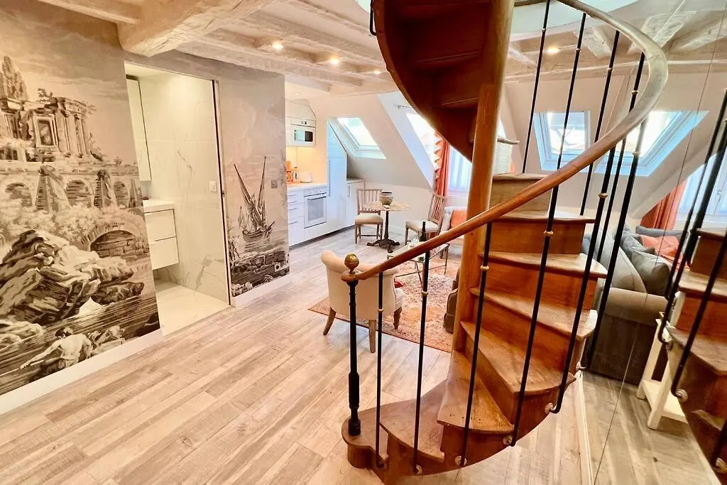 Apartment Rooftop Triplex With Garden At Notre Dame Paris