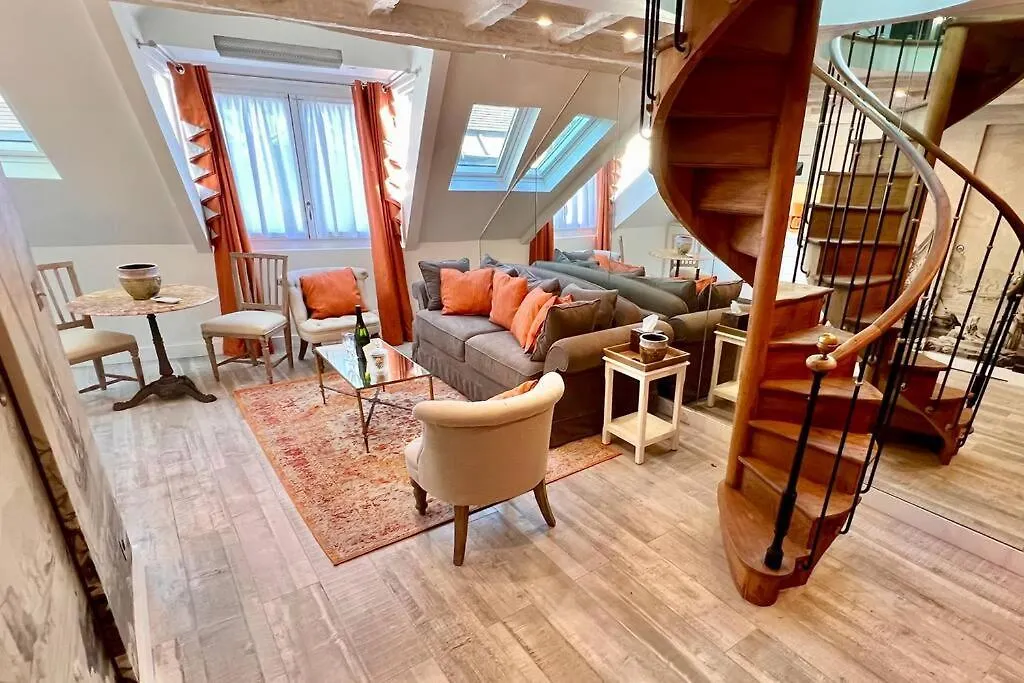 Apartment Rooftop Triplex With Garden At Notre Dame Paris