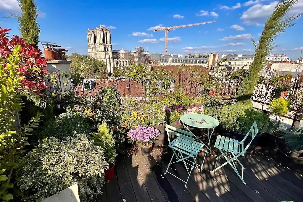 Apartment Rooftop Triplex With Garden At Notre Dame Paris France